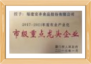 市级沉点龙头企业